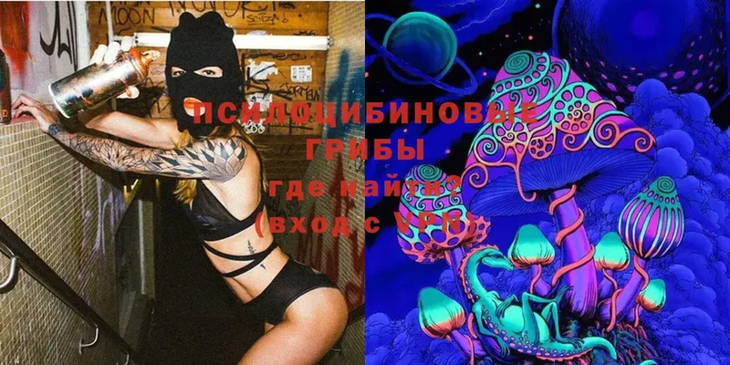 Купить наркотики сайты Елизово Cocaine  kraken ТОР  МЕФ 